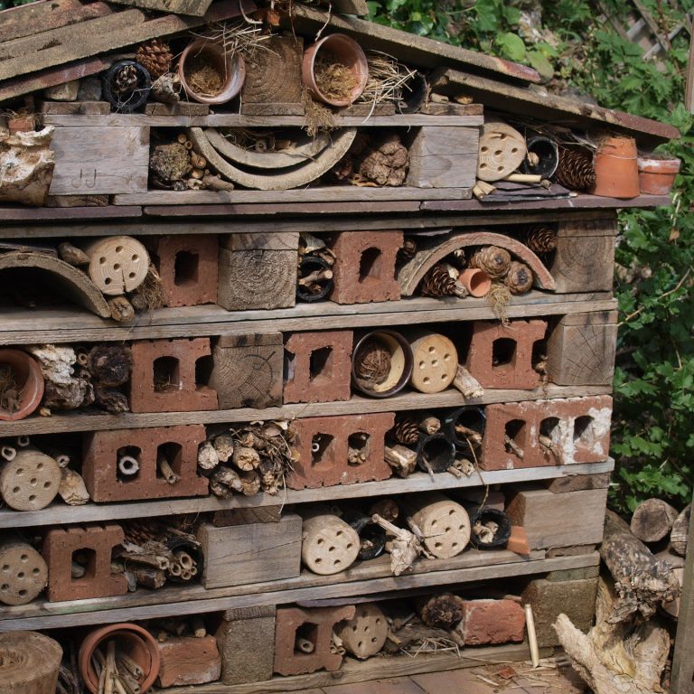 bug hotel